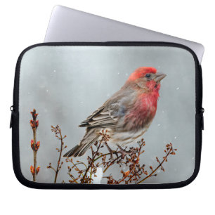 House Finch in Snow - Original Photograph Laptop Sleeve