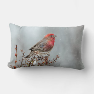 House Finch in Snow - Original Photograph Lumbar Cushion