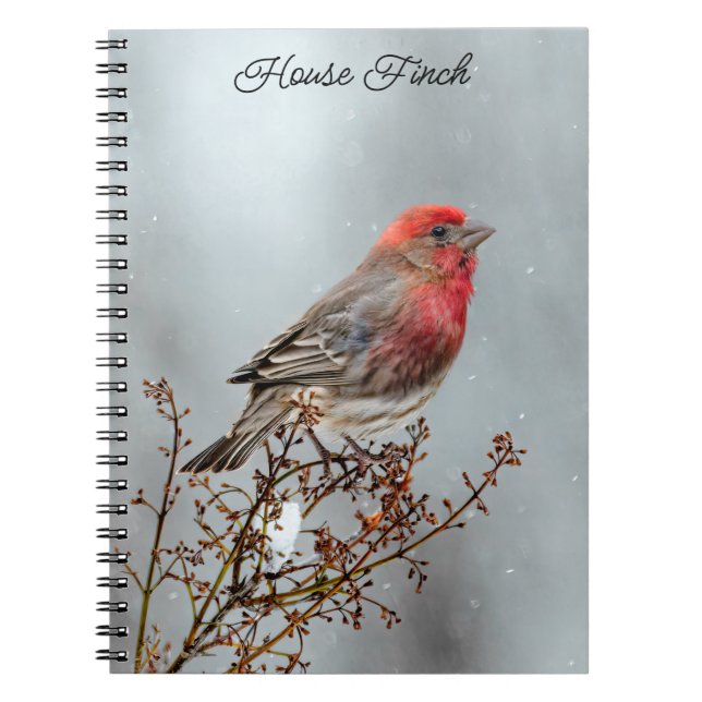 House Finch in Snow - Original Photograph Notebook (Front)