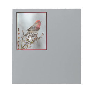 House Finch in Snow - Original Photograph Notepad