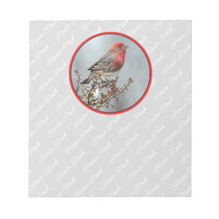 House Finch in Snow - Original Photograph Notepad