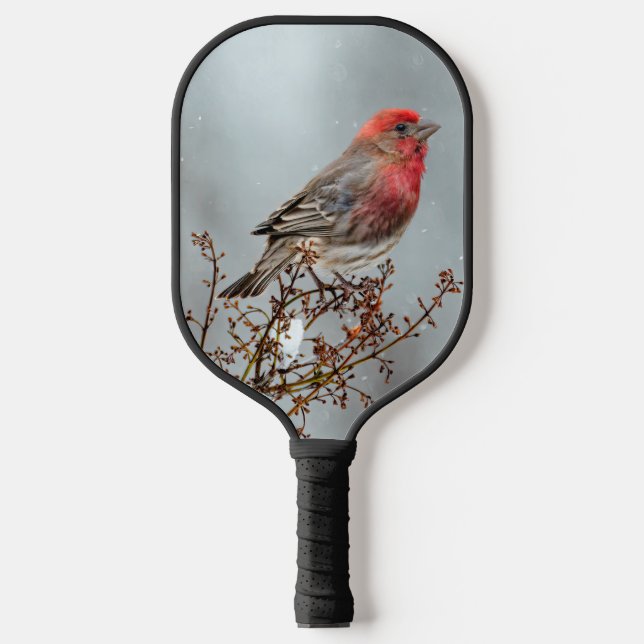 House Finch in Snow - Original Photograph Pickleball Paddle (Front)