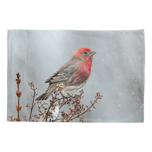 House Finch in Snow - Original Photograph Pillowcase (Back)