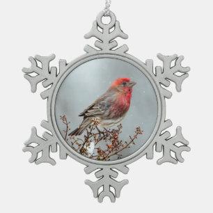 House Finch in Snow - Original Photograph Snowflake Pewter Christmas Ornament