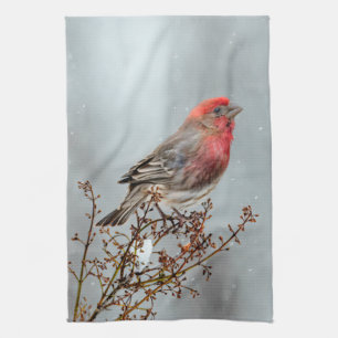 House Finch in Snow - Original Photograph Tea Towel
