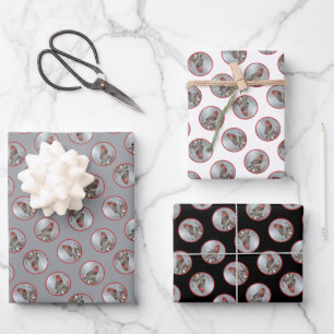 House Finch in Winter Snow Original Photograph Wrapping Paper Sheet