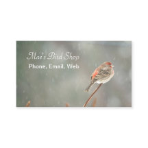 House Finch on a Branch