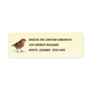 House Finch Return Address Label