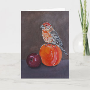 House Finch’s Midday Rest Painting by Alfred Fox Card