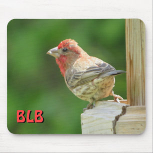 House Finch with your initials Mouse Pad
