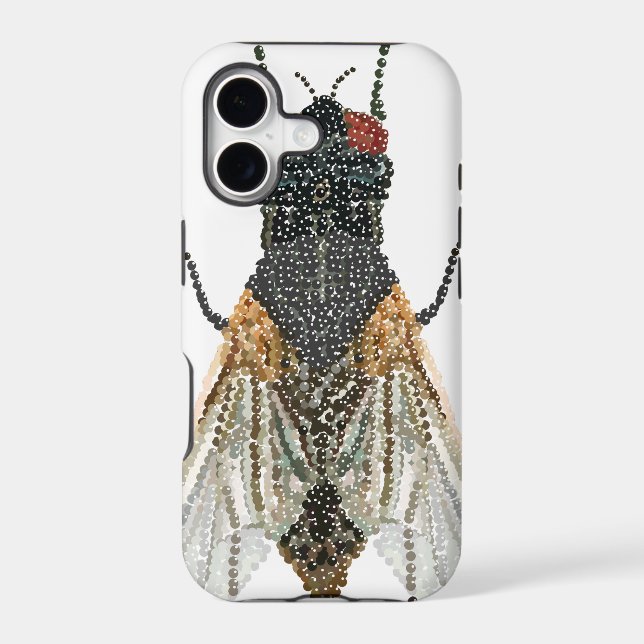 house fly . (Back)