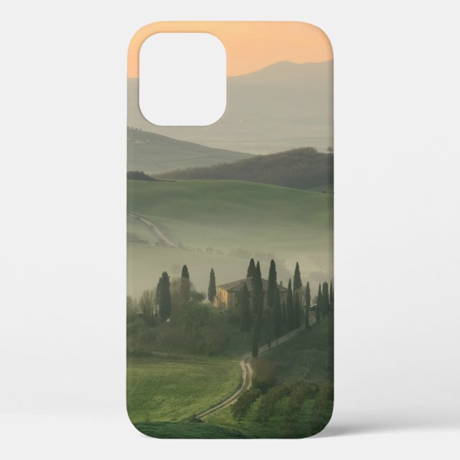 HOUSE IN MIDDLE OF GRASS FIELD Case-Mate iPhone CASE (Back)