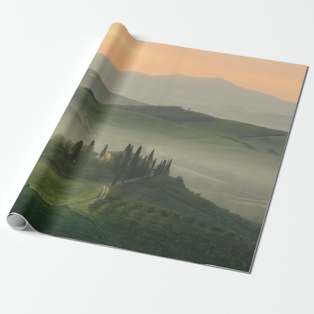 HOUSE IN MIDDLE OF GRASS FIELD WRAPPING PAPER (Unrolled)