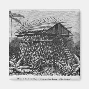 House in the Arfak village of Memiwa, New Guinea Magnet