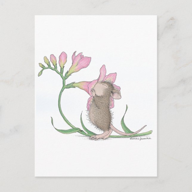 House-Mouse Designs® - Postcard (Front)