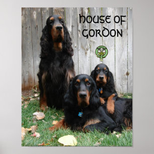 HOUSE OF GORDON Gordon Setter Generations Poster