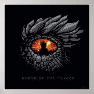 HOUSE OF THE DRAGON   Dragon's Eye Iron Throne Poster