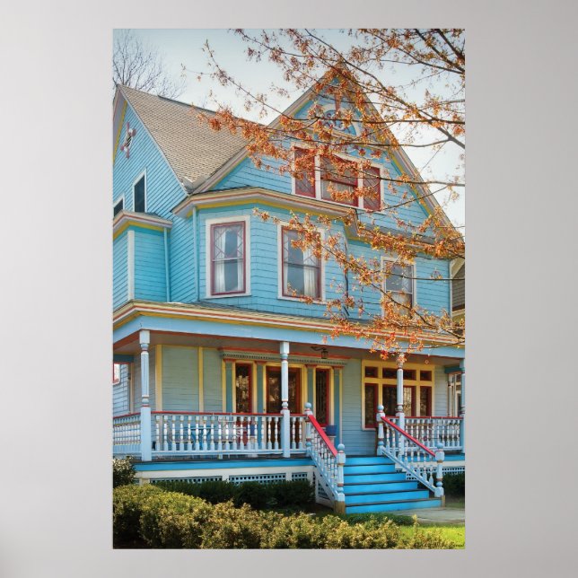 House - Painted Lady Poster (Front)