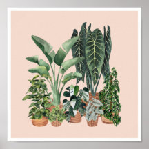 House Plants Illustration 4