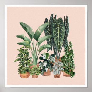 House Plants Illustration 4 Poster