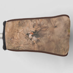 House Sparrow Birds In A Spring Bush Birdwatcher Golf Head Cover