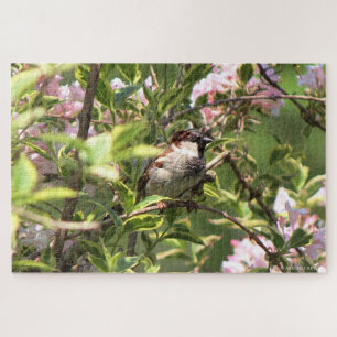 House Sparrow Jigsaw Puzzle