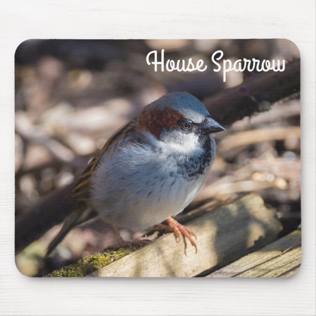 House Sparrow Mouse Pad (Front)