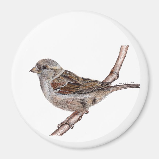 House Sparrow (Passer Domesticus) Magnet (Front)