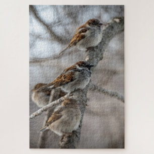 House Sparrows On Branch Jigsaw Puzzle