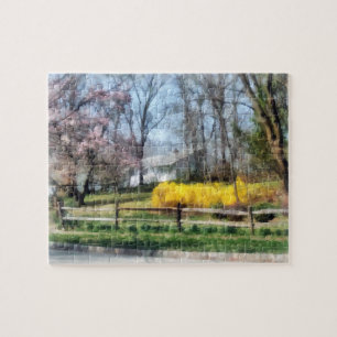 House With Magnolias and Forsythia Jigsaw Puzzle