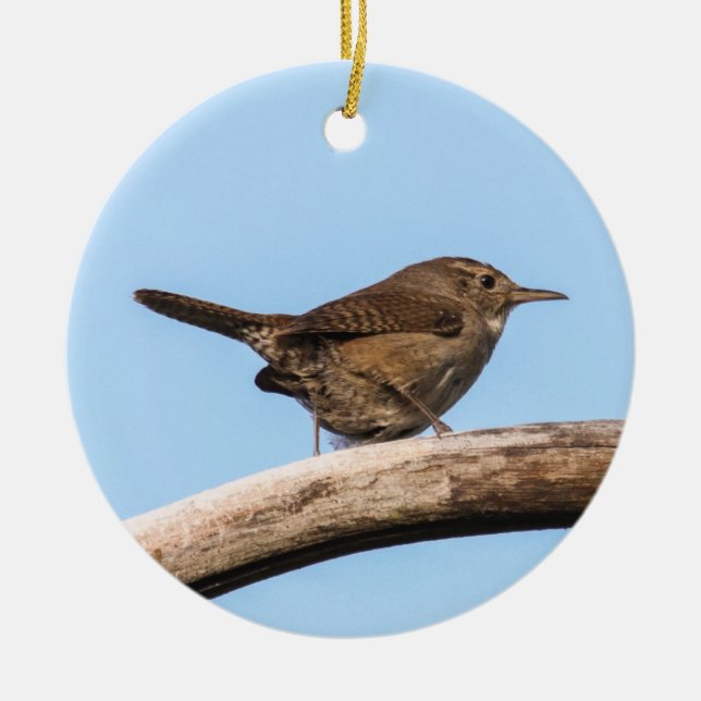House Wren Ceramic Tree Decoration (Front)