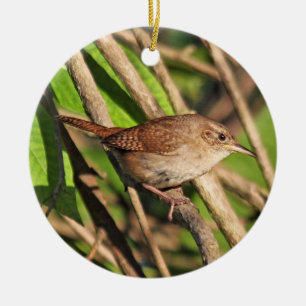 House Wren Ornament