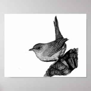 House Wren Poster