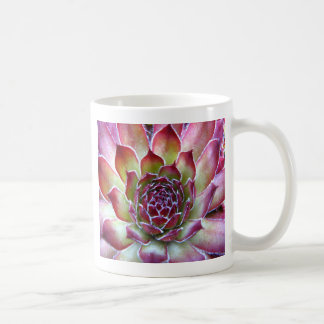 houseleek coffee mug