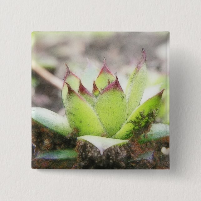 Houseleek - Sempervivum 15 Cm Square Badge (Front)