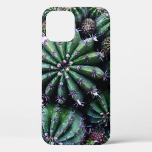Houseplant Cactus: Nursery Beautiful Design iPhone 12 Case