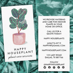 Houseplant Calathea Prayer Plant Gardening Social  Business Card