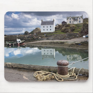 Houses And Boats Along The Water Mouse Pad