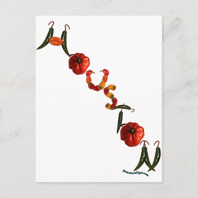 Houston Chilli Peppers Postcard (Front)