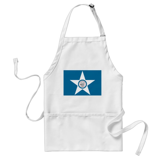 Houston Flag Standard Apron (Front)