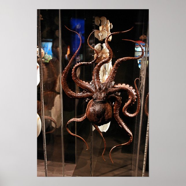 Houston Museum of Natural Science Poster (Front)