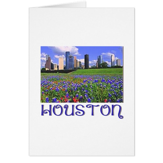 Houston Texas Bluebonnets (Front)