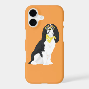 Houston The Tri-Colour Cavalier Spaniel Dog