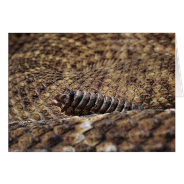 Houston Zoo (Front Horizontal)