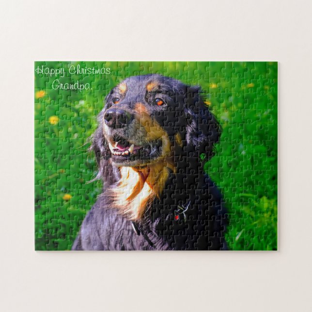 Hovawart Dog. Jigsaw Puzzle (Horizontal)