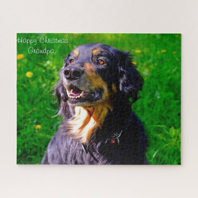 Hovawart Dog. Jigsaw Puzzle (Horizontal)