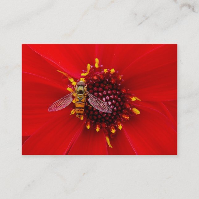 Hover Fly on a Dahlia, Mini Photo Business Card (Front)