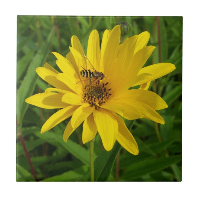 Hover Fly on a Yellow Chrysanthemum Ceramic Tile (Front)