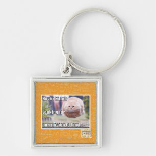Hover kitteh key ring