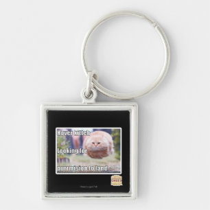 Hover kitteh key ring